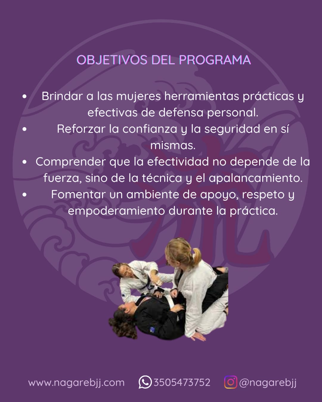 Descripción de la imagen