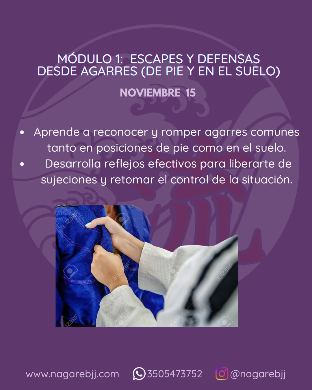 Descripción de la imagen