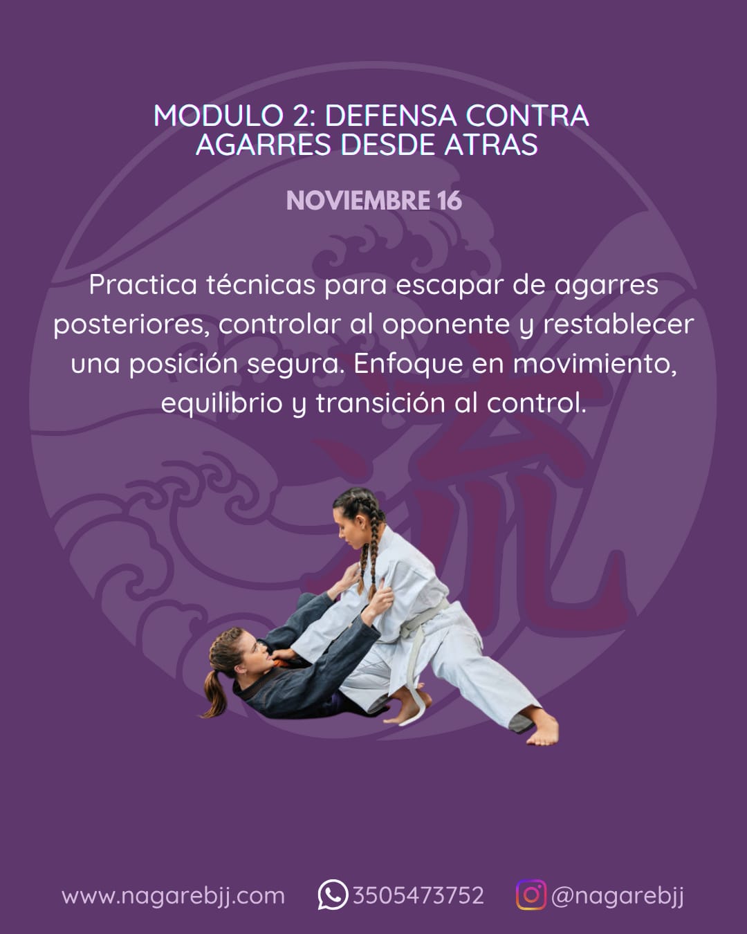 Descripción de la imagen