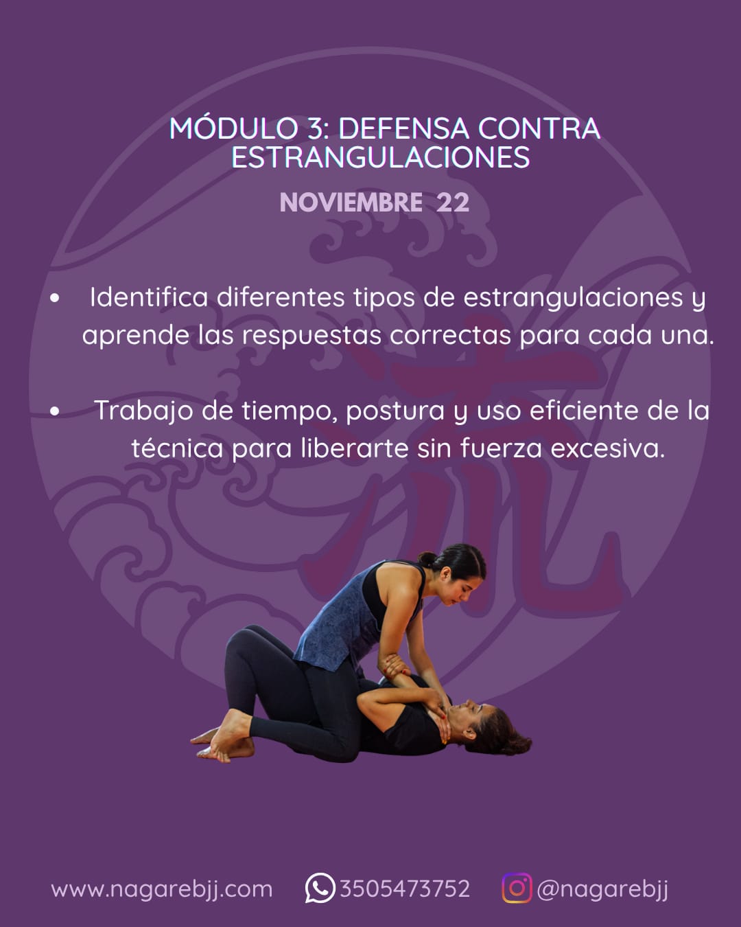 Descripción de la imagen