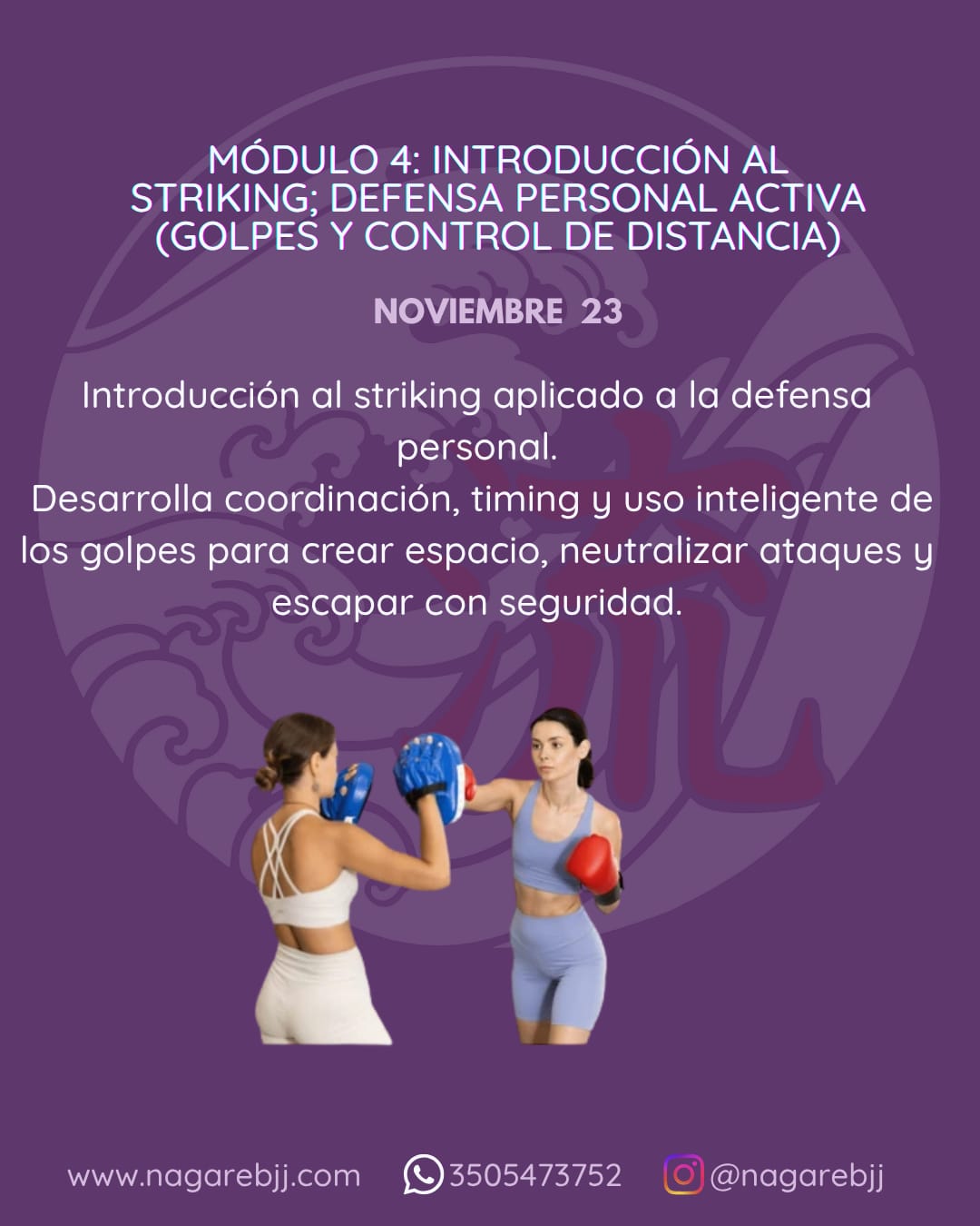 Descripción de la imagen